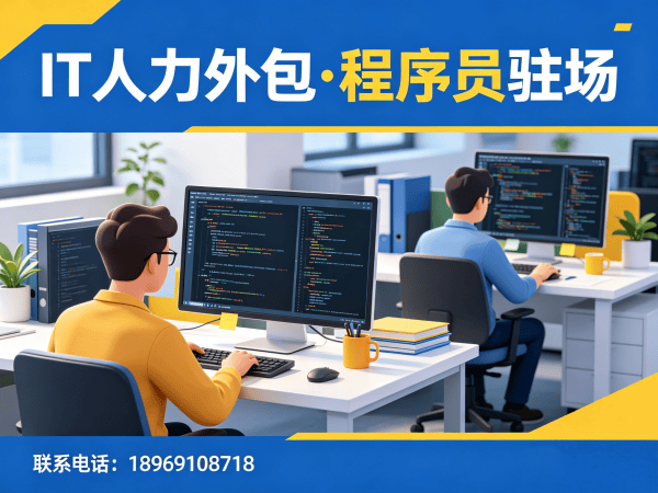 宁波IT人力外包解决方案：后端开发程序员驻场服务，解决企业技术人才难题