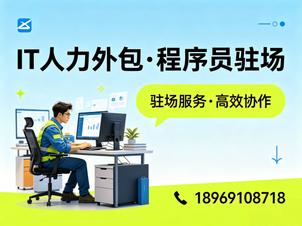 武汉IT人力外包解决方案：人形机器人开发工程师程序员驻场服务