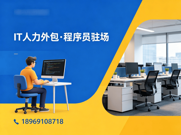 天津Python开发程序员外包服务指南：全面解析风险保障方案